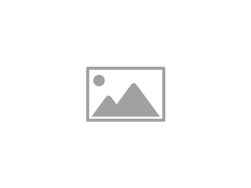 DSF310